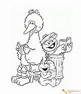 Big Bird Coloring Sheet Date sketch template