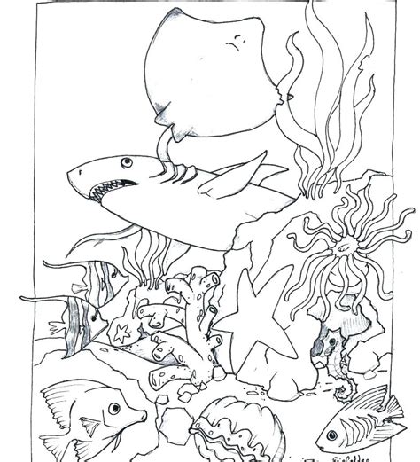 forest habitat  animals coloring pages animal habitat coloring