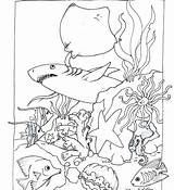 Coloring Pages Animals Habitat Forest Sea Animal Habitats Getcolorings Book Getdrawings Colorings sketch template