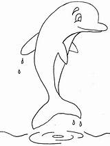 Dolphin Color Popular Coloring sketch template