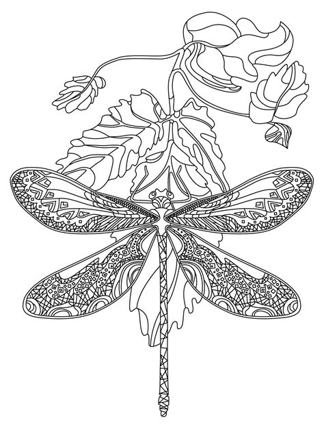 dragonfly colorish coloring book app  adults  goodsofttech