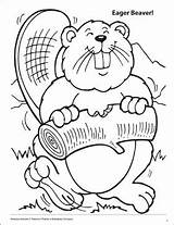 Beaver Coloring Dam Printable Pages Eager Animals Getcolorings Getdrawings sketch template