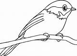 Bird Coloring Pages Robin Red Birds Kids Printable Sheet Drawing Different Perch Clipartmag Anbu Getdrawings Christmas Popular sketch template