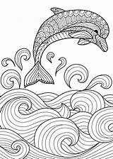 Dolphin Mandalas Dolfijn Dolphins Getekende Golfinho Relaxing Faciles Delfín sketch template