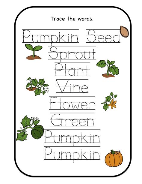 pumpkin life cycle book printable printable word searches