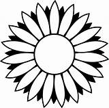 Flower Outlines Sunflower Outline Line Clip Drawings Kids Coloring sketch template