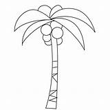 Coconut Coloring Plant sketch template
