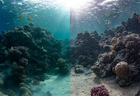 ways  fix  edit underwater  nature ttl