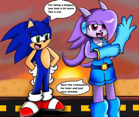 sonic meets lilac by navitgb on deviantart