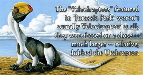 dinosaur facts  images   blow  mind