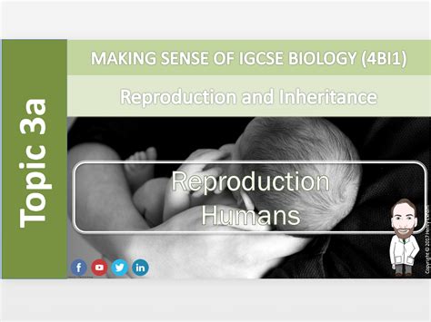 igcse biology 9 1 3a reproduction humans teaching resources