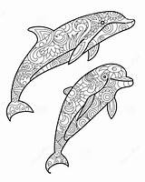 Dolphin Coloring Adults Pages Mandalas Book Animal Zentangle Vector Mandala Drawing Dauphin Coloriage Adult Stock Dessin Dolphins Illustration Stress Anti sketch template