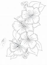 Flower Coloring Realistic Flowers State Hawaiian Pages Hawaii Drawing Getdrawings Getcolorings Color Printable Hibiscus sketch template