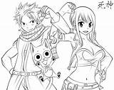 Fairy Natsu Anime Disegni Colorare Personaggi Nalu Dibujos Heartfilia sketch template