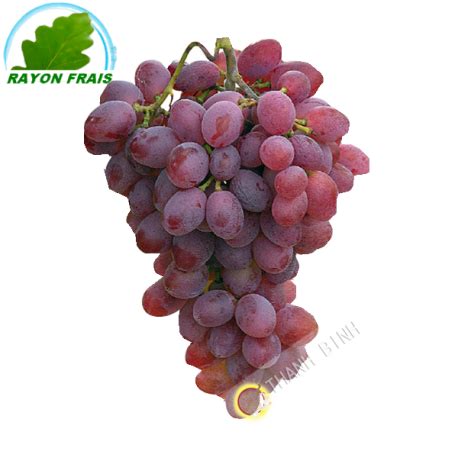 fruits frais raisin rouge kg