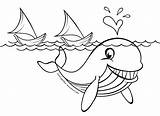 Ikan Mewarnai Paus Menggambar Sketsa Lukisan Hewan Nemo Indah Cerita Mengggambar sketch template