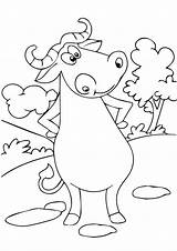 Buffalo Cute Coloring Animal Pages Printable Categories Coloringonly sketch template