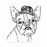 Terrier Coloring Boston Pages Printable Yorkie Bulldog Drawing French Puppy Highland West Dog Color Getcolorings Yorkshire Print Clipart Library Getdrawings sketch template