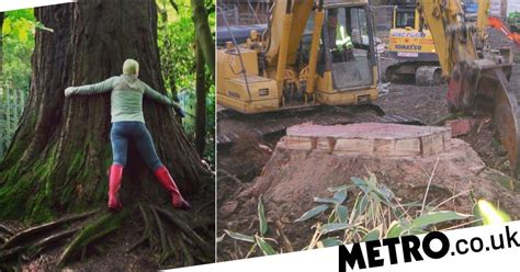 Developer Chops Down 200 Year Old Giant Redwood By Mistake For