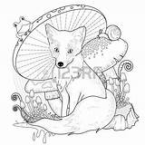 Stare Coloring Designlooter Exquisite Mushrooms Adorable Fox Line sketch template