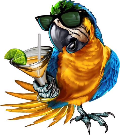 pin  cindy leskey  drunken parot   parrots art parrot image parrot drawing