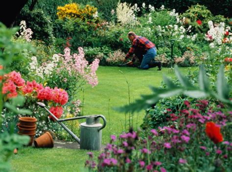 Kukyflor Cómo Plantar Flores En Tu Jardín