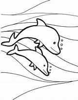 Dolphins Delfines Dofins Raskrasil Coloringhome sketch template