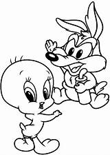 Baby Tunes Looney Coloring Coyote Tweety Pages Wile Squabble Drawing Who Printable Kids sketch template