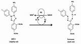 Wst Assay Cell Tetrazolium Protocol Proliferation Cleavage Iodophenyl Phenyl 2h Nitro Reagent Viability Benzene Mitochondrial Reductase Sulfonate Formazan Coupling Electron sketch template