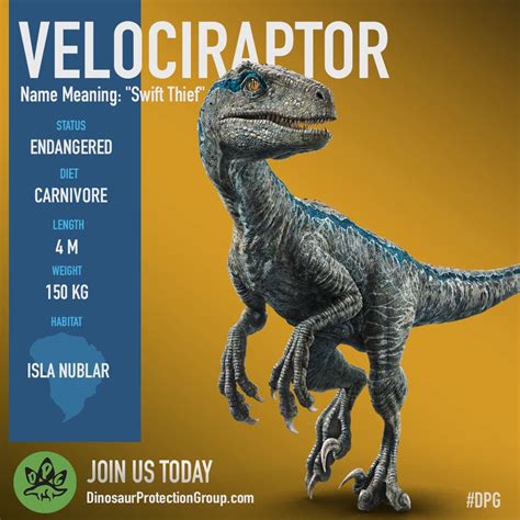 Velociraptor Antirrhopus S F S F T G S F S