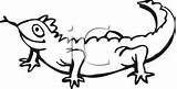 Tongue Coloring Lizard Animal Getdrawings sketch template