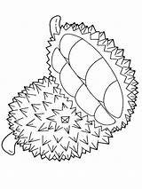 Durian Coloring Pages Drawing Fruits Fruit Kids Printable Papaya Print Tree Getdrawings Color Adults Books Paintingvalley Visit Recommended sketch template