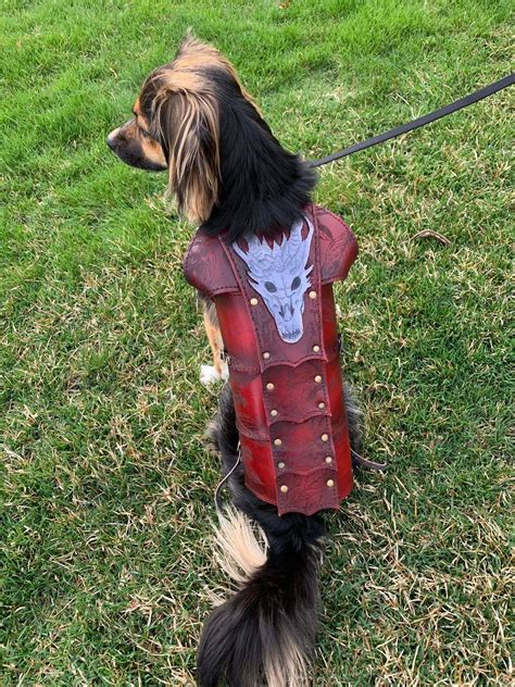 dog armor rleathercraft