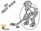 Coloring Pages Hockey Nhl Field Players Colorings Getcolorings Getdrawings Choose Board sketch template