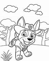 Patrol Pups Ausdrucken Kostenlos Drucken Malvorlagen Canina Dibujos Colorear sketch template