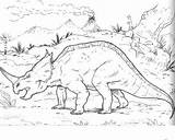 Styracosaurus Coloringpagesonly Sheets Dinosaurs sketch template