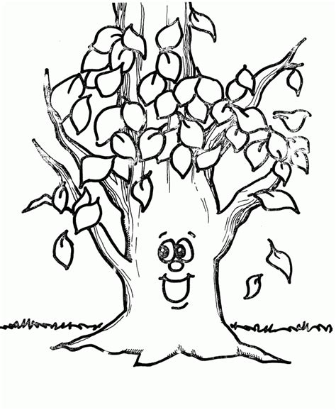 fall tree coloring page images   finder