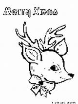 Reindeer Coloring Pages Christmas Face sketch template
