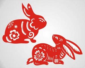 zodiac  rabbit illustration ai svg eps vector