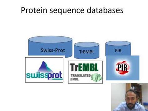 introduction  bioinformatics primary  secondary databases