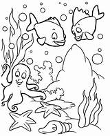 Animals Coloring Water Pages Ocean Drawing Animal Underwater Kids Printable Sketch Getdrawings Drawings Getcolorings Color sketch template