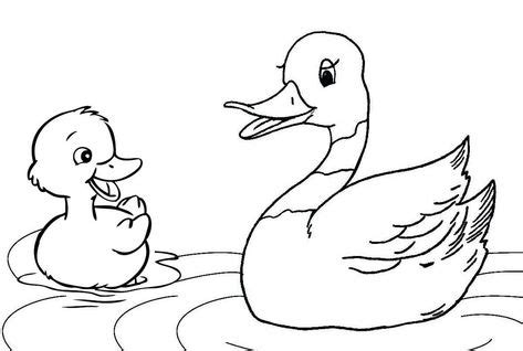 pin  illustration designer  duck  ducklings coloring pages