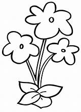 Ausmalbilder Blumen Dekoking Drucken Einfach Gefallene Wunderschöne sketch template