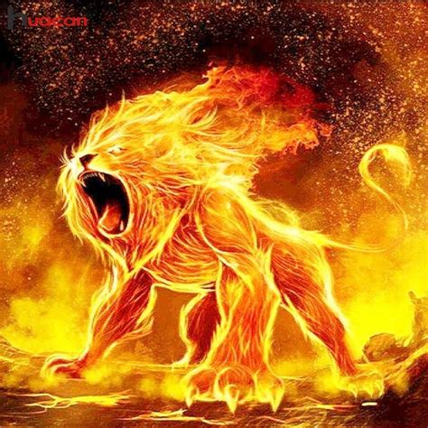Fire Lion Wallpaper Wallpaper Download