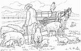 Coloring Pages Sheep Printable Farm Adults Kleurplaten Schafe Adult Malvorlagen Complex Ferme Moutons Family sketch template