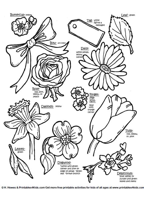 forget   coloring page