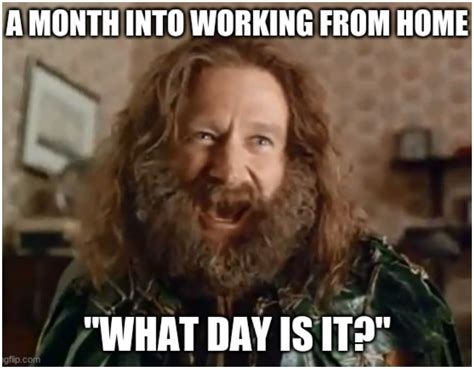 working  home memes    virtual vocations