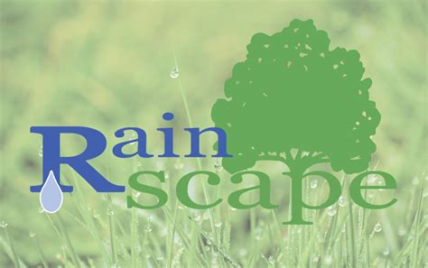 find   irrigation  landscape company   rainscape