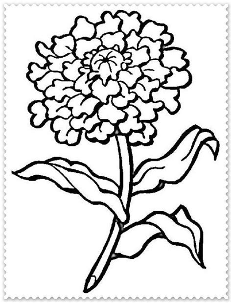 pin de tatiana corciovei en chrysanthenumcrizantema flor cempasuchil