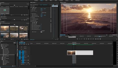 adobe premiere video editing tutorial basics